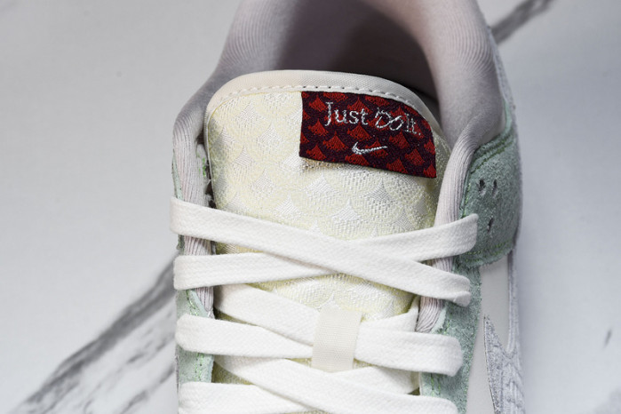 Nike Dunk Low FZ5065-111