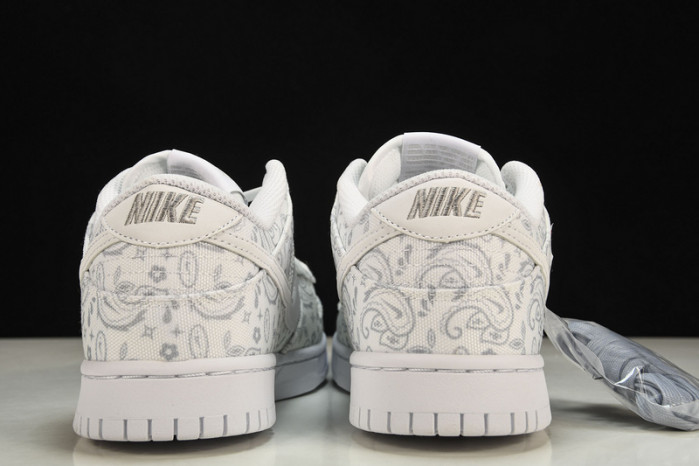 Nike Dunk Low DJ9955-100