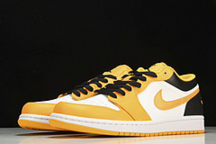 Nike SB Low 553558-701